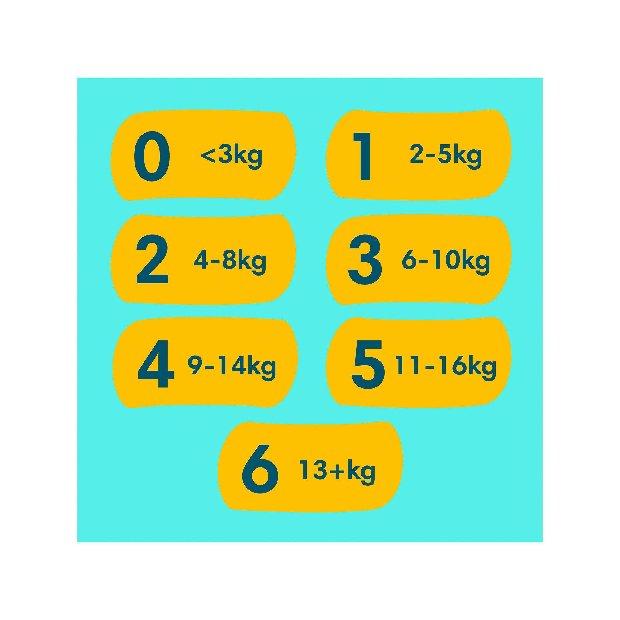 Pampers  Premium Protection Taglia 2, confezione mensile 