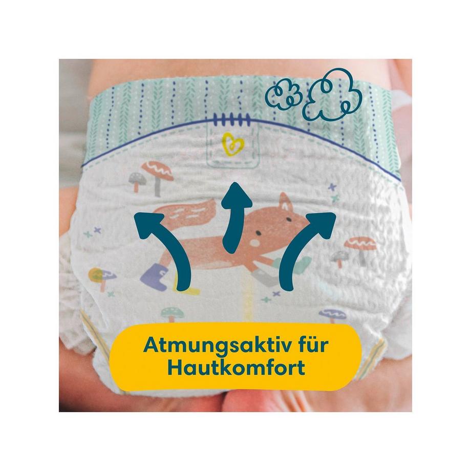 Pampers  Premium Protection Grösse 3, Monatsbox 