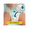 Pampers  Premium Protection Taille 4, boîte mensuelle 