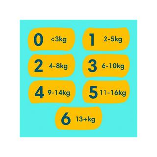 Pampers Premium Protection Gr.6 Extra Large 13+kg Monatsbox Premium Protection Grösse 6, Monatsbox 