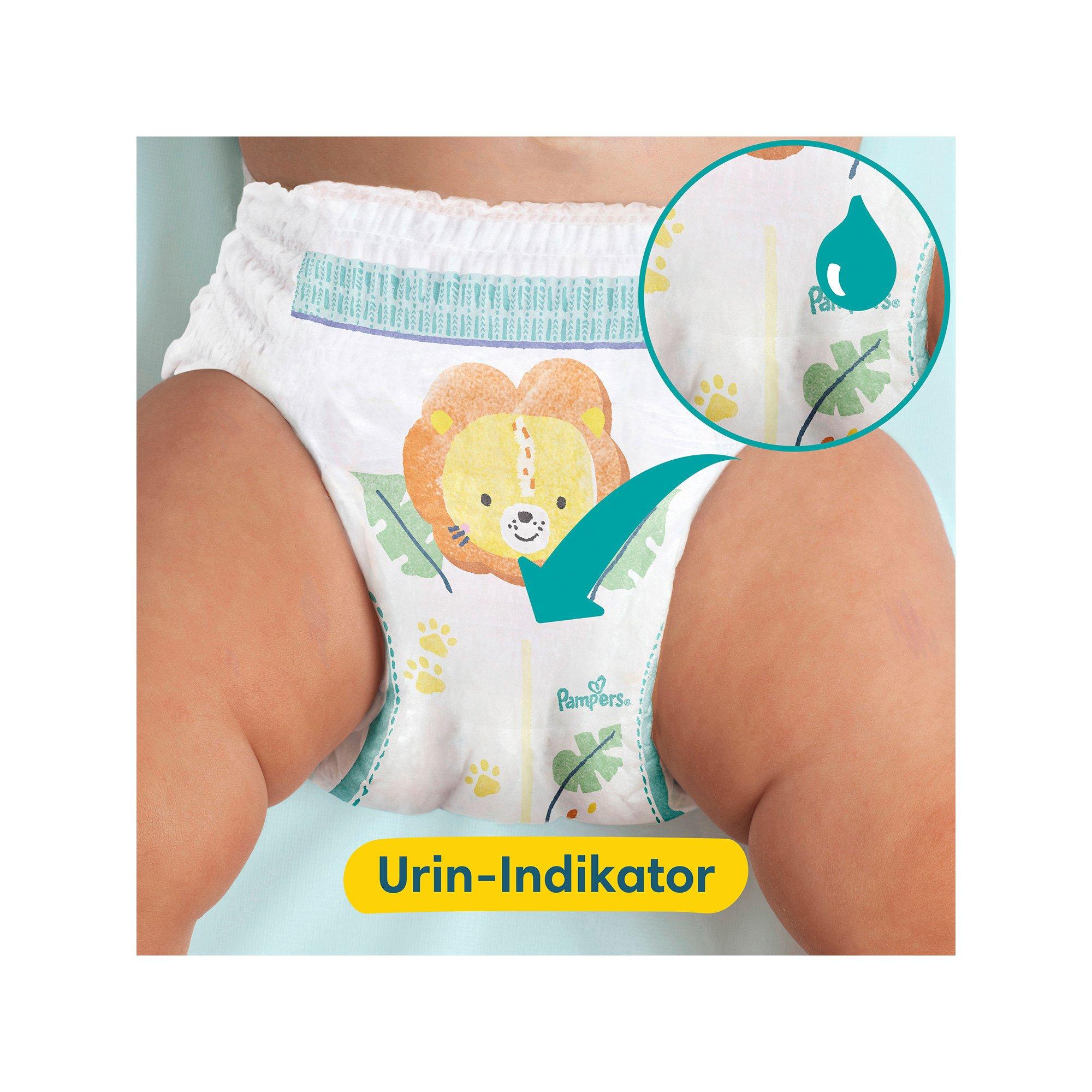Pampers  Premium Protection Pants Grösse 5, Monatsbox 