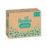 Pampers  Baby-Dry Pants taille 3, boîte mensuelle 