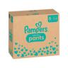 Pampers  Baby-Dry Pants Taglia 6, confezione mensile 