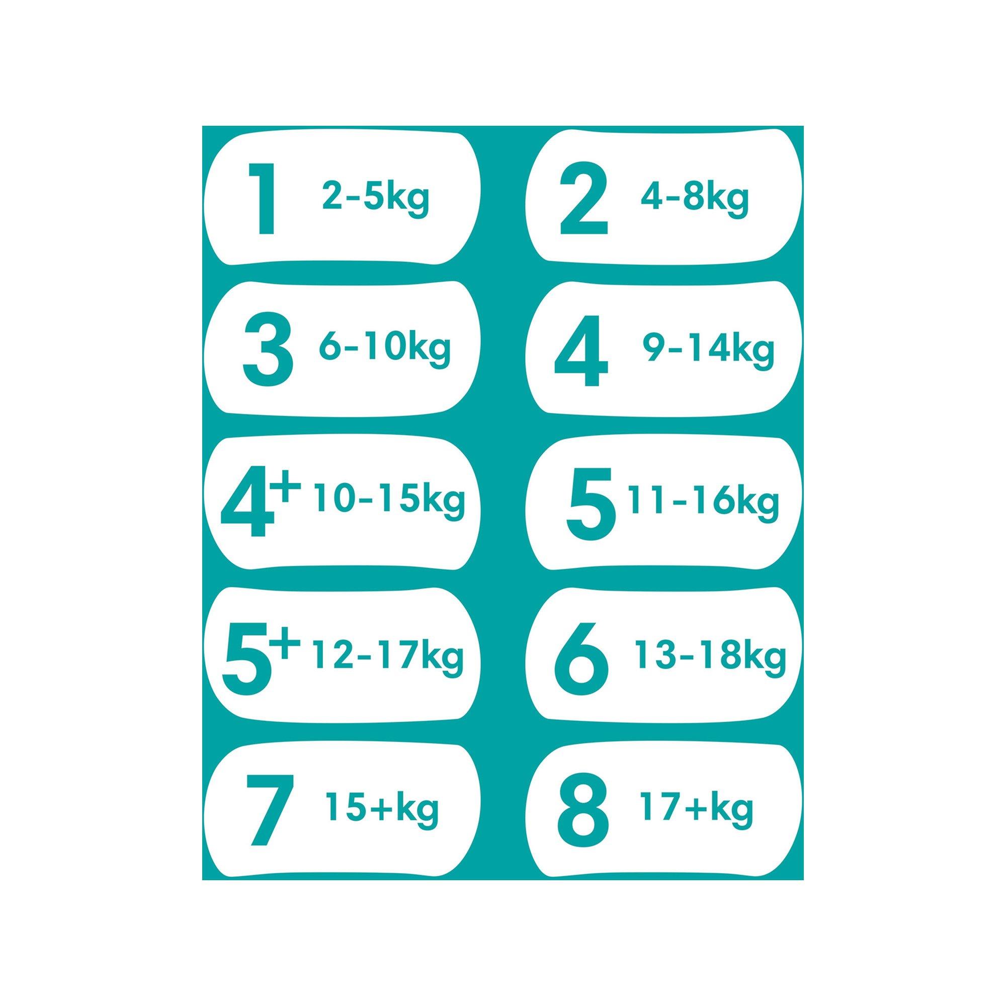 Pampers  Baby-Dry taglia 5+ 