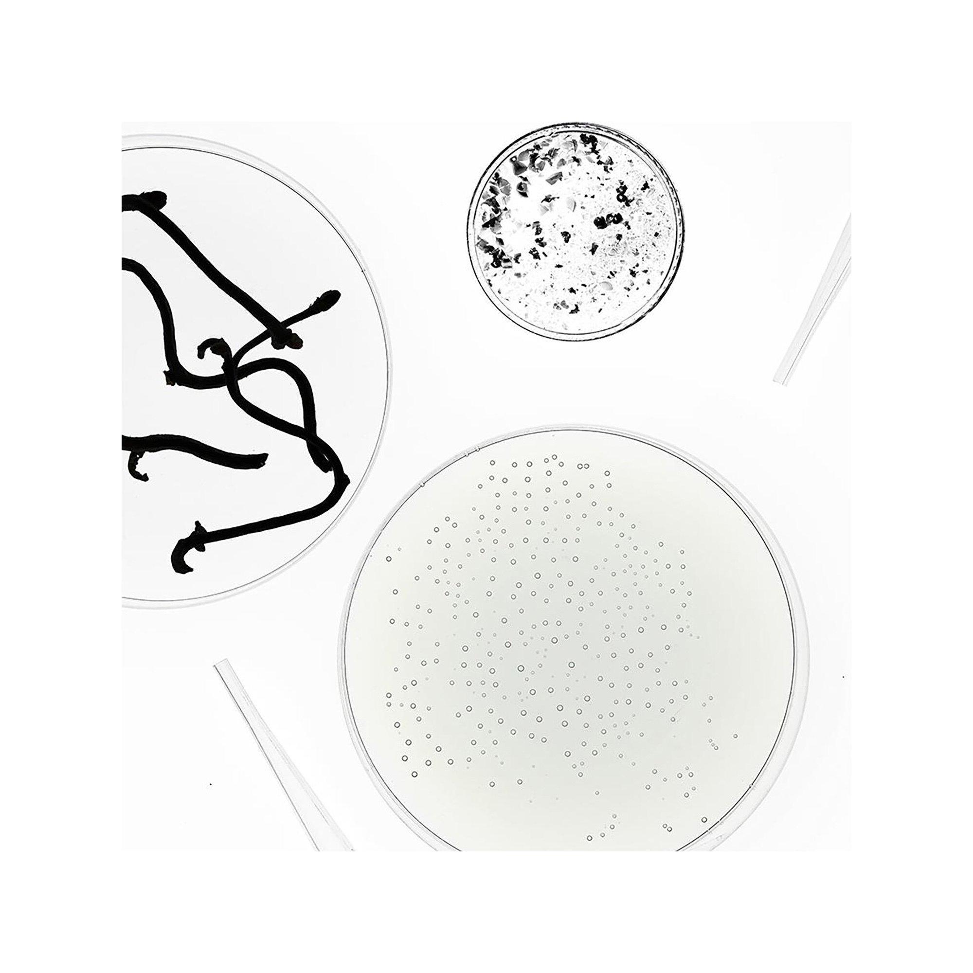 SEASONLY  Crème lumière - Aufhellende Gesichtscreme 