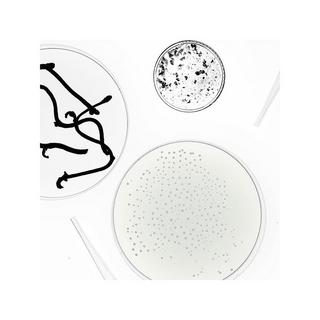 SEASONLY  Crème lumière - Aufhellende Gesichtscreme 