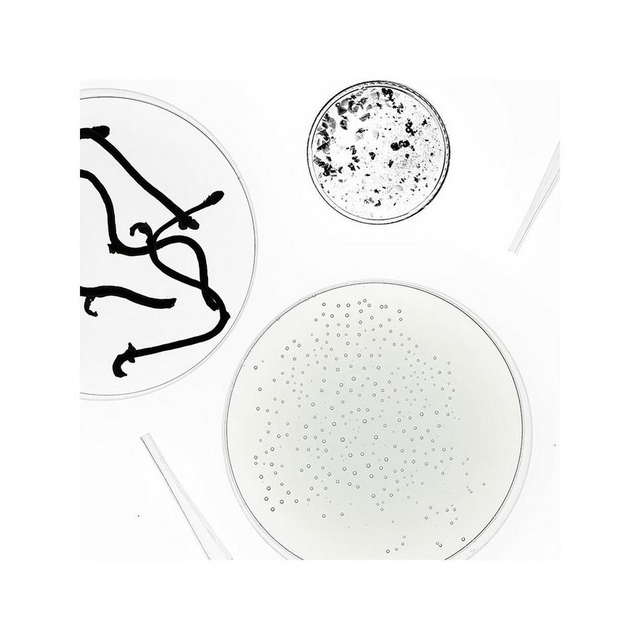 SEASONLY  Crème lumière - Aufhellende Gesichtscreme 