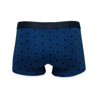 TOMMY HILFIGER TRUNK PRINT CTN SILVER WB Boxer  