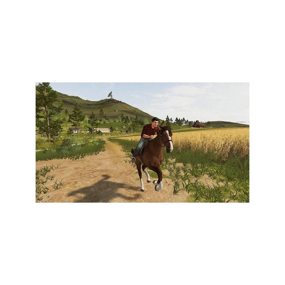 Giants Landwirtschafts-Simulator 20 (Switch) 