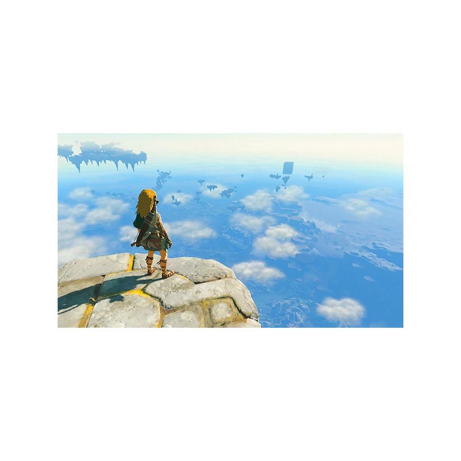 Nintendo The Legend of Zelda: Tears of the Kingdom (Switch) 