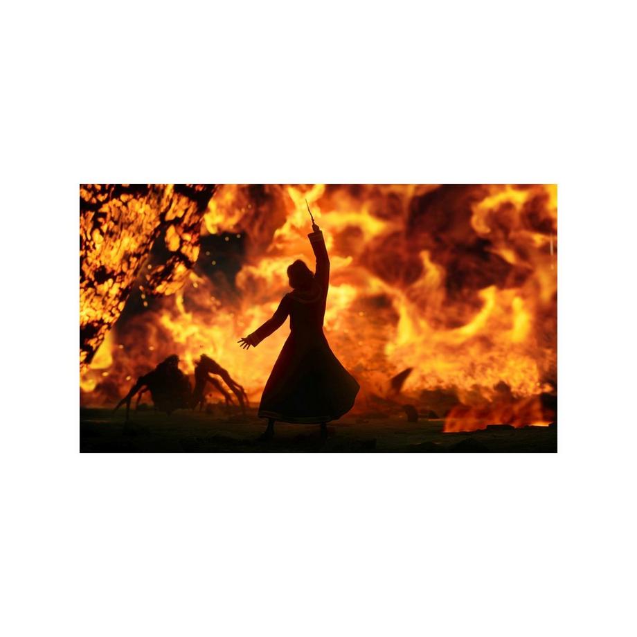 Warner Bros Hogwarts Legacy (Switch) 