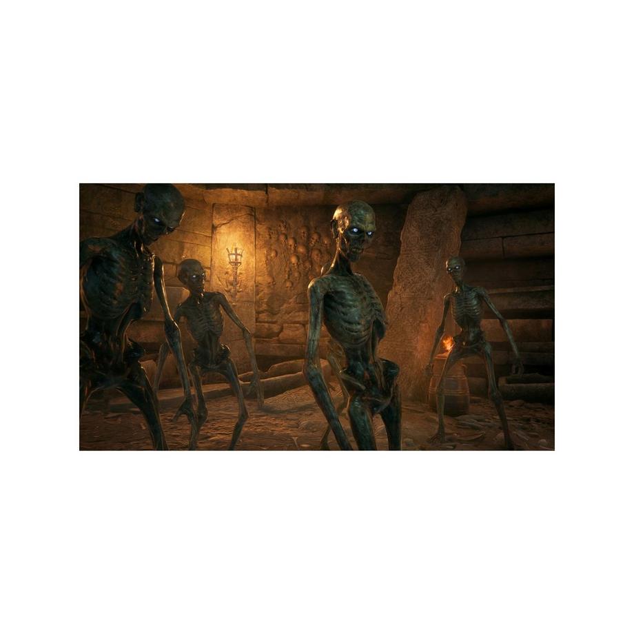 Warner Bros Hogwarts Legacy (Switch) 