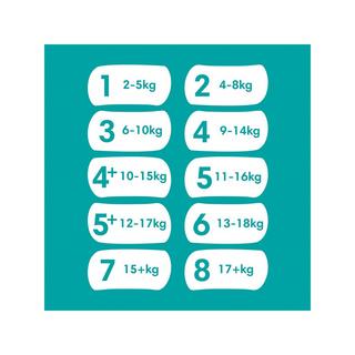 Pampers  Baby-Dry taille 7, boîte mensuelle 