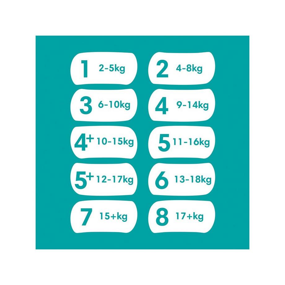 Pampers  Baby-Dry Grösse 7, Monatsbox 