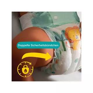 Pampers  Baby Dry taille 8, boîte mensuelle 