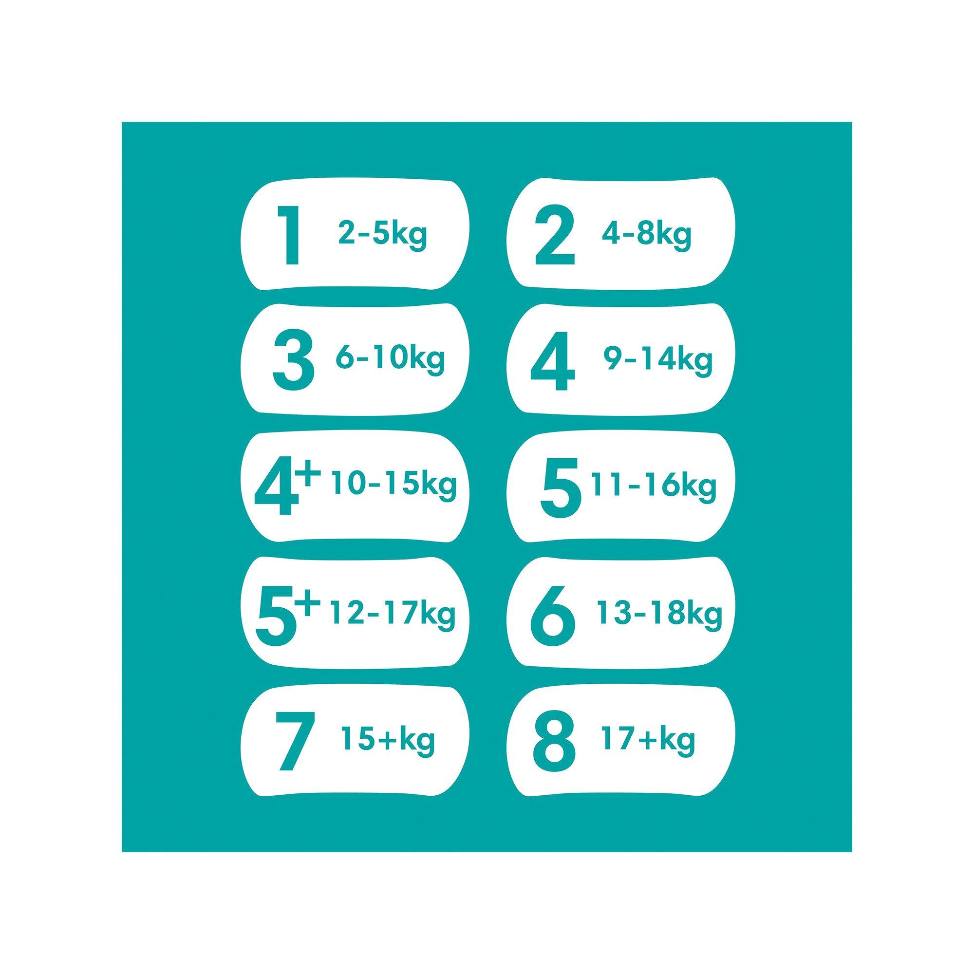 Pampers  Baby Dry taille 8, boîte mensuelle 