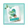 Pampers Harmonie Gr.2 Mini 4-8 kg Monatsbox Harmonie Taglia 2, confezione mensile 