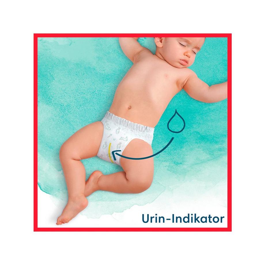 Pampers  Harmonie Pants Taille 4, boîte mensuelle 