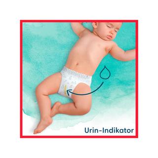 Pampers  Harmonie Pants Taille 6, boîte mensuelle 