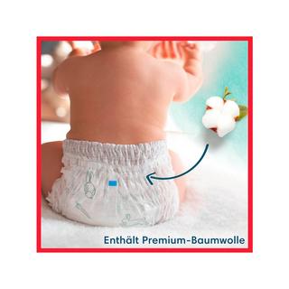 Pampers  Harmonie Pants Taille 6, boîte mensuelle 