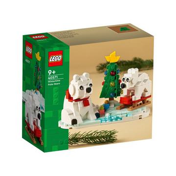 40571 Les ours blancs en hiver