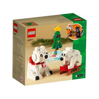 LEGO®  40571 Les ours blancs en hiver 