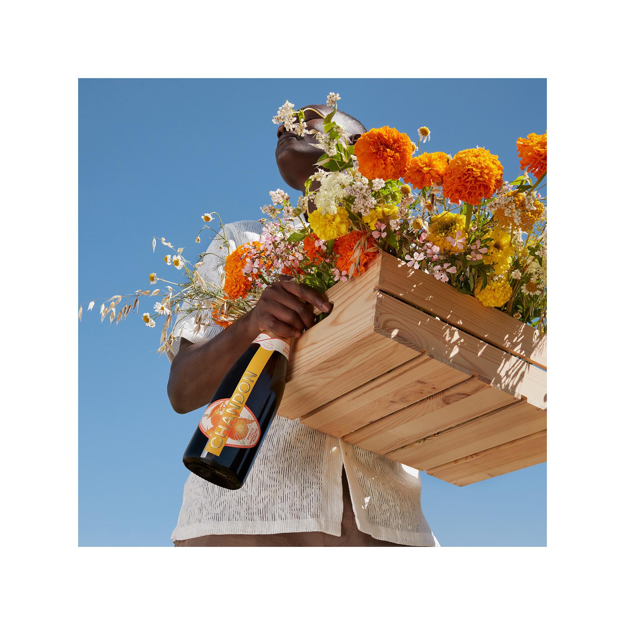 Chandon Argentina Garden Spritz, Magnum  