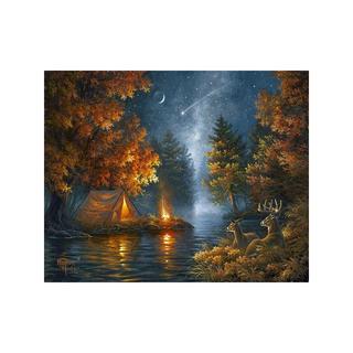 Figured'Art Peinture par numéros Camper sous le ciel étoilé 