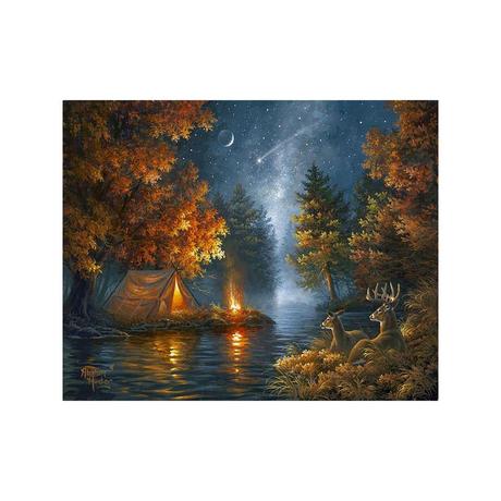Figured'Art Peinture par numéros Camper sous le ciel étoilé 