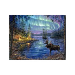 Figured'Art Malen nach Zahlen Elch und Nordlicht 