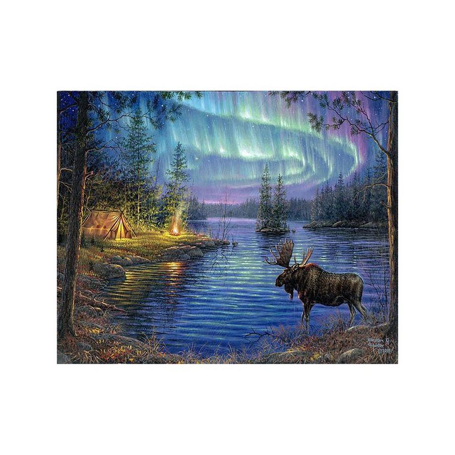 Figured'Art Dipingere con i numeri Alci e aurora boreale 