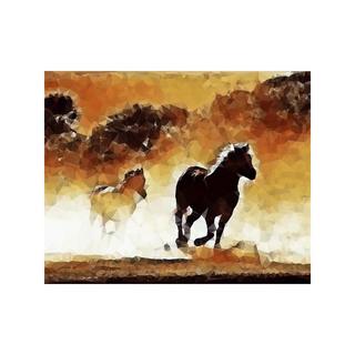 Figured'Art Dipingere con i numeri Cavalli selvaggi 