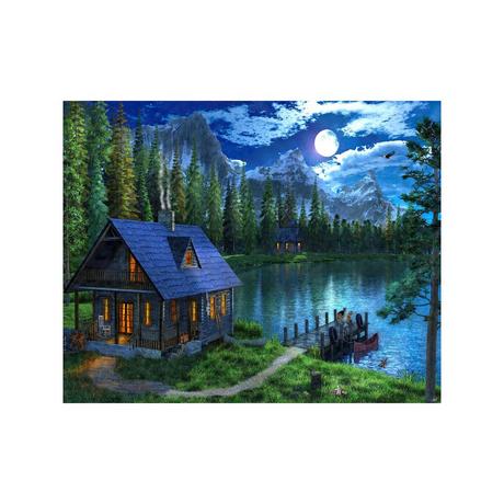 Figured'Art Peinture par numéros Lac nocturne 