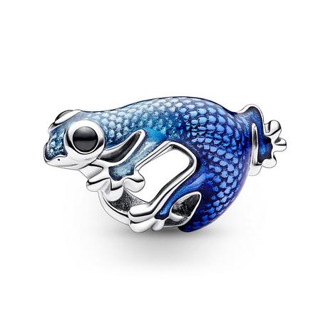 PANDORA Pandora Moments Charm 