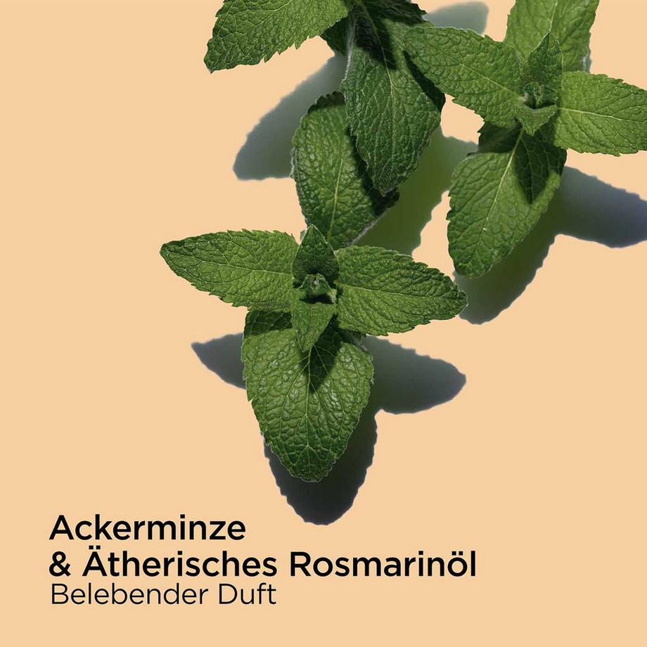 CLARINS  Bain aux Plantes Tonic 