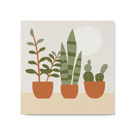 Figured'Art Dipingere con i numeri 3 vasi di piante grasse 