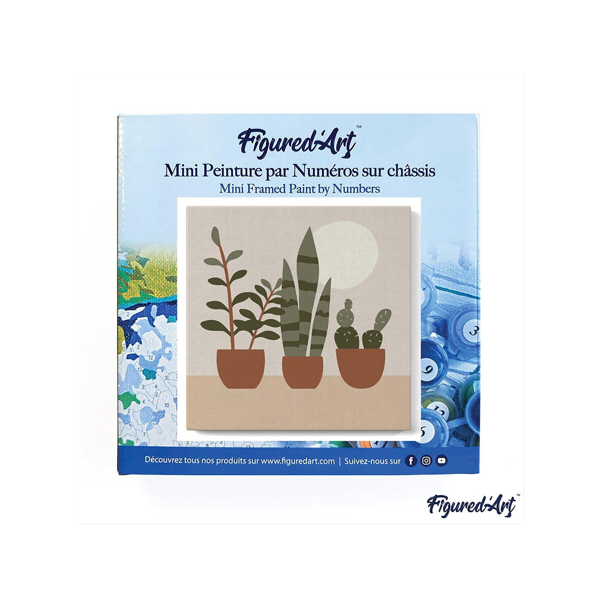 Figured'Art Malen nach Zahlen 3 Töpfe mit Sukkulenten 