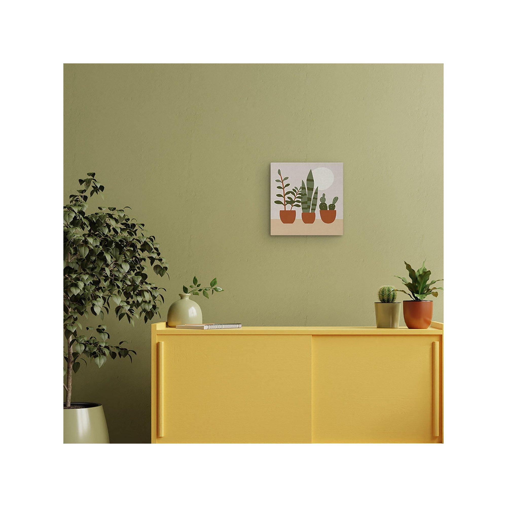 Figured'Art Malen nach Zahlen 3 Töpfe mit Sukkulenten 