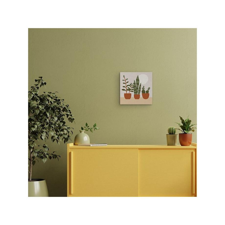 Figured'Art Malen nach Zahlen 3 Töpfe mit Sukkulenten 