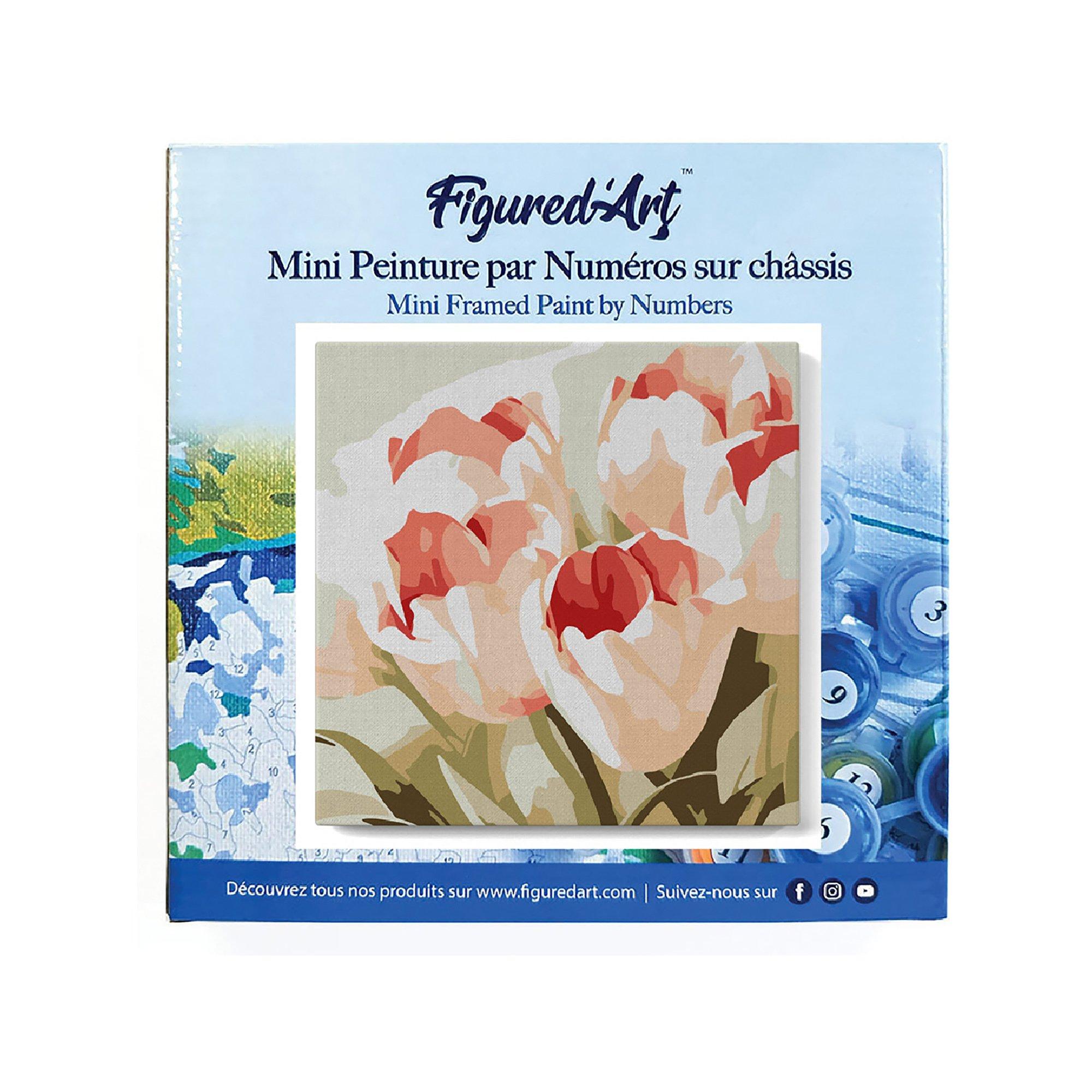 Figured'Art Dipingere con i numeri Fiore di tulipano 