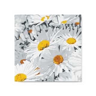 Figured'Art Peinture par numéros Marguerite 