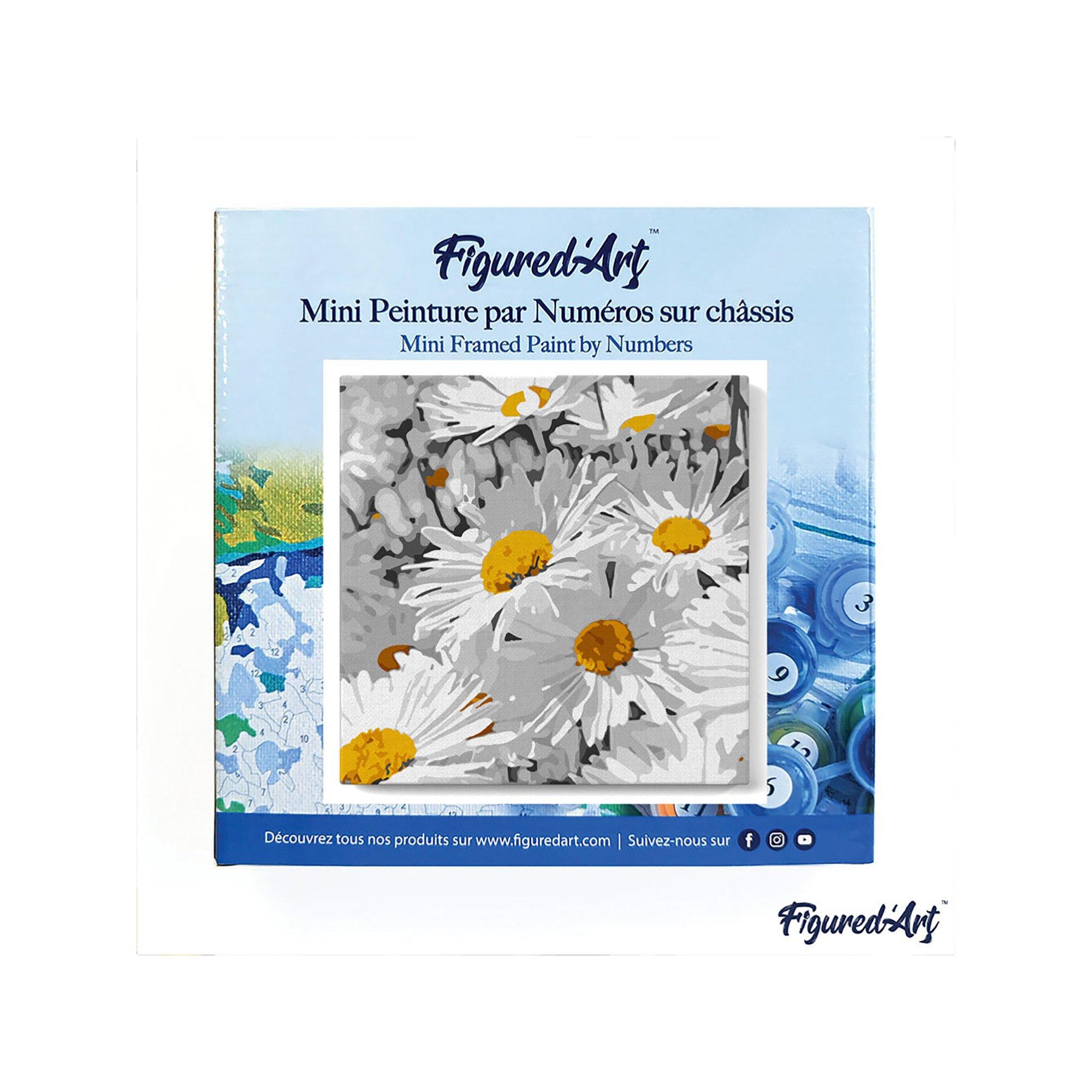 Figured'Art Dipingere con i numeri margherita 