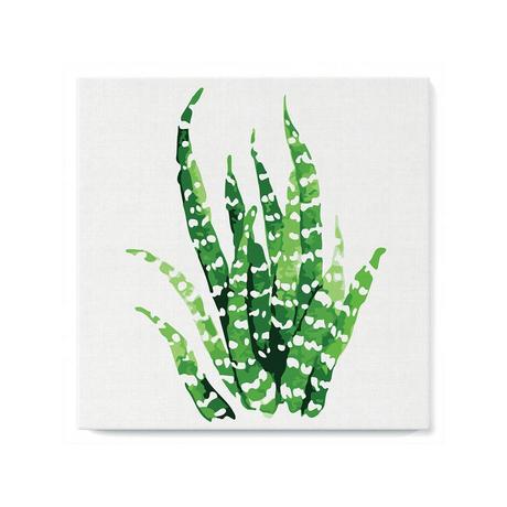 Figured'Art Malen nach Zahlen Aloe Pflanze 