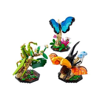 LEGO®  21342 La collection d’insectes 