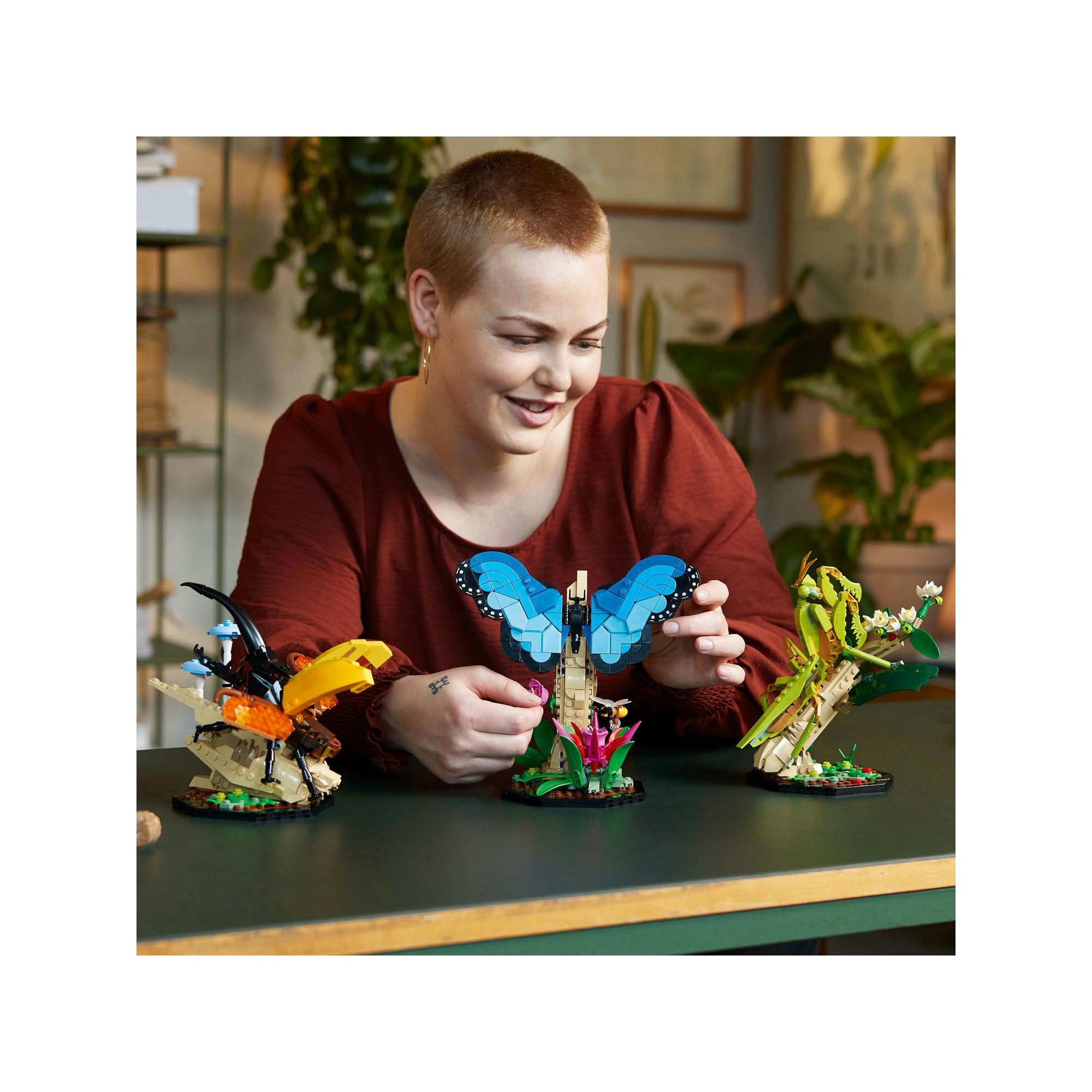 LEGO®  21342 Die Insektensammlung 