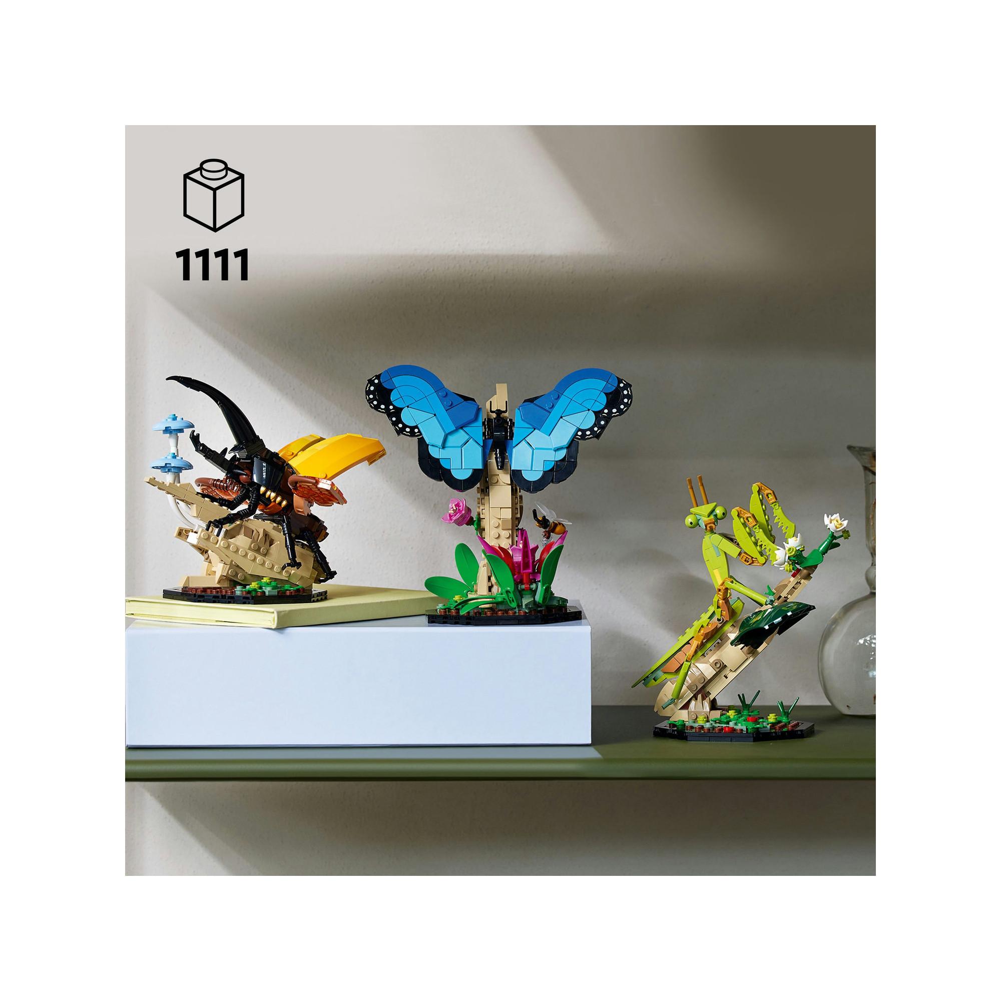 LEGO®  21342 Die Insektensammlung 