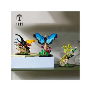 LEGO®  21342 Die Insektensammlung 
