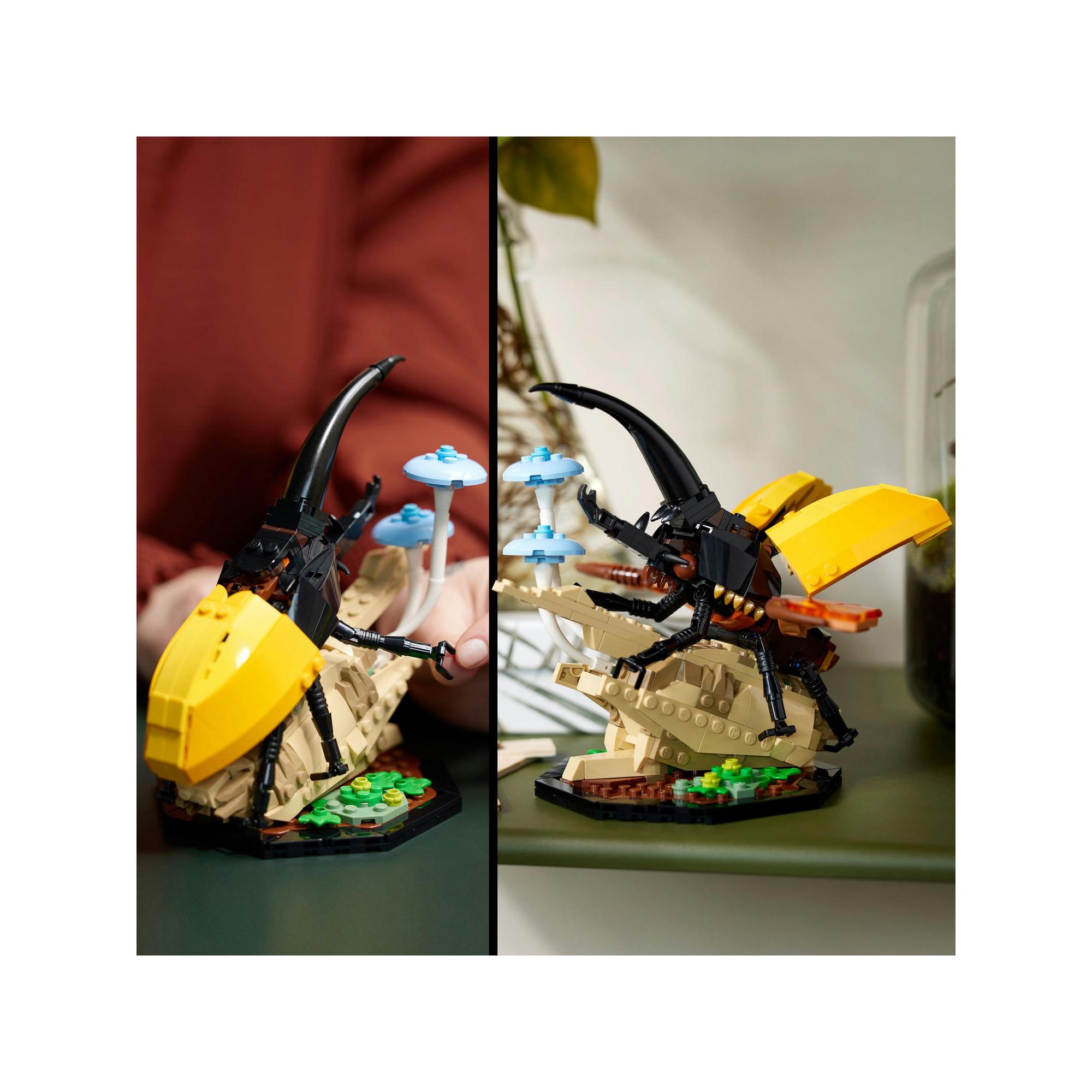 LEGO®  21342 Die Insektensammlung 