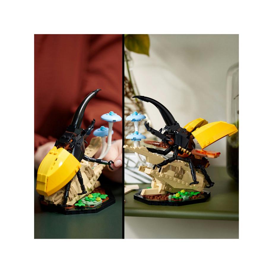 LEGO®  21342 Die Insektensammlung 