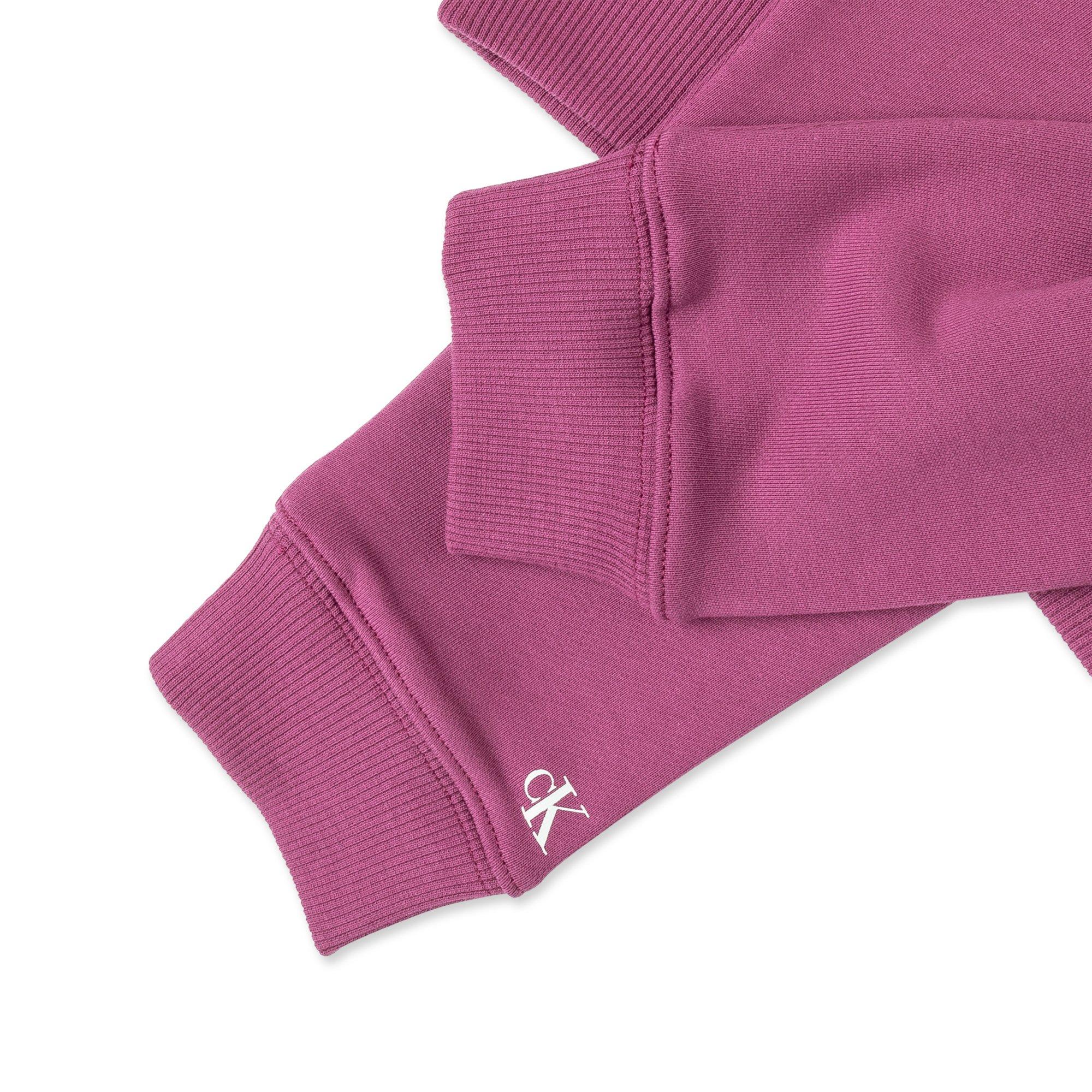 Calvin Klein INSTITUTIONAL LOGO HOODIE Hoodie 
